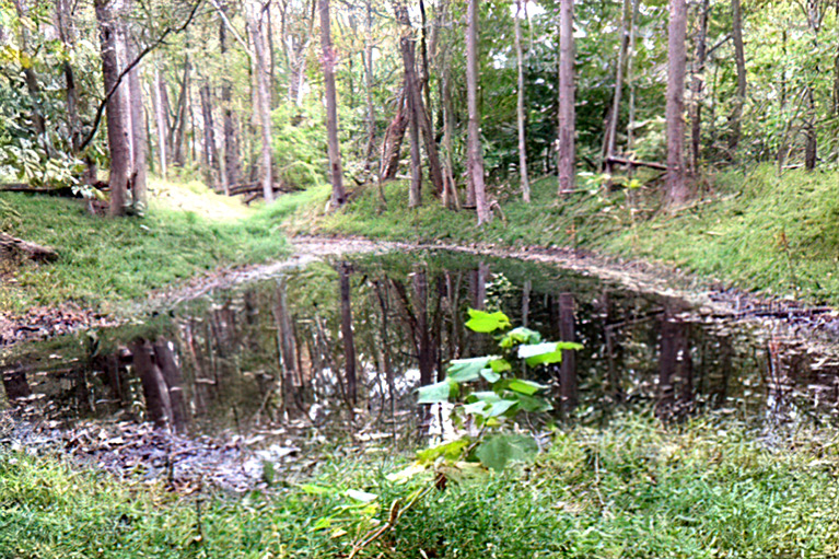One of two vernal pools reestablished