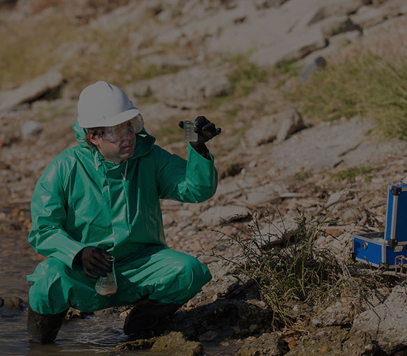 Sustainable Solutions Coastal Resilience