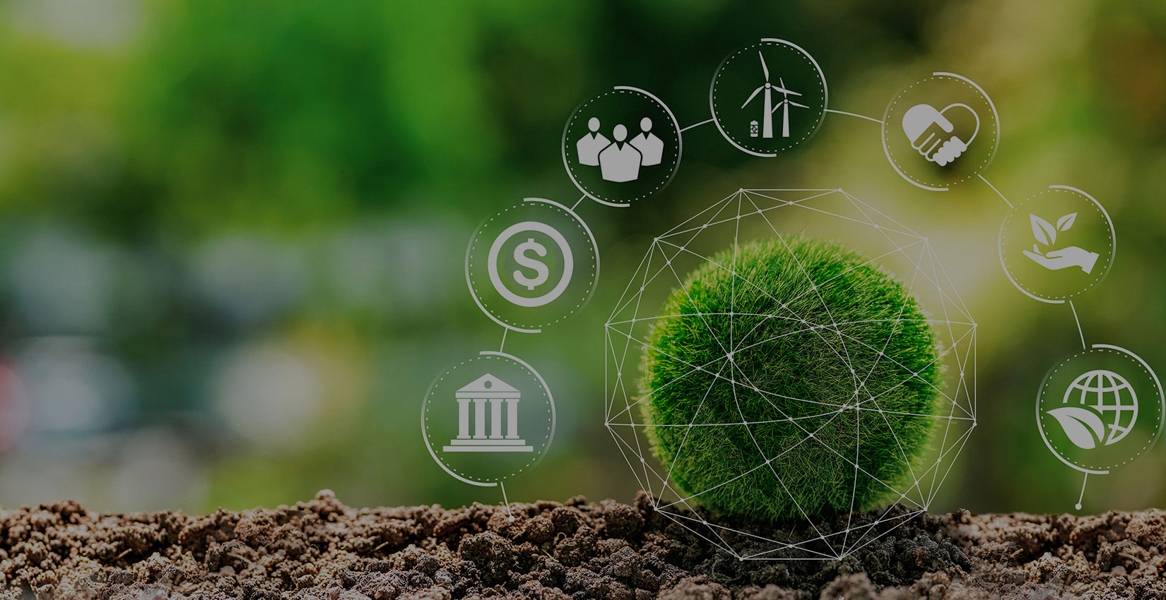 Ecological Solutions